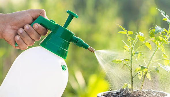 Fertilizer and Nutrient Spraying